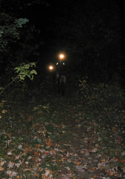 KINGDOM0012.jpg