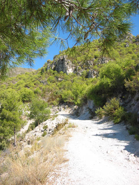 12sentier.jpg