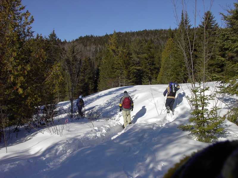 manip_Sentier de la Riviere Swaggin 064.jpg