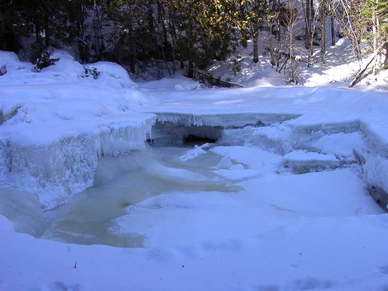 manip_Sentier de la Riviere Swaggin 085.jpg