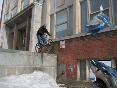 IMG_32.gif