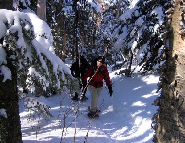 ROUNDTOP0002.jpg