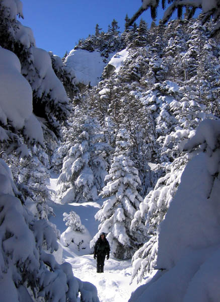 ROUNDTOP0011.jpg