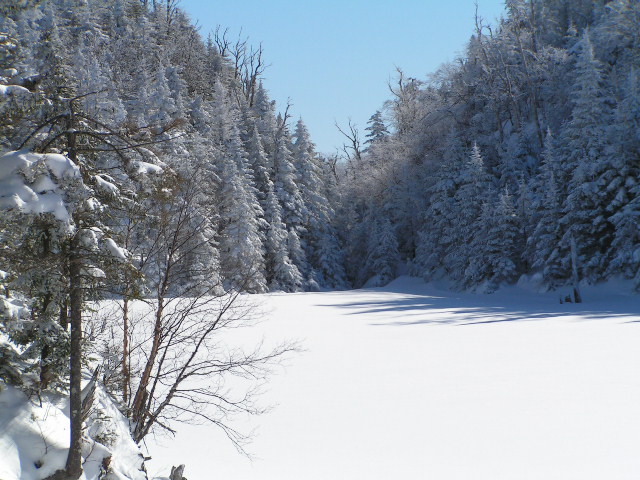 PICT0006.JPG