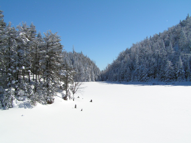 PICT0008.JPG
