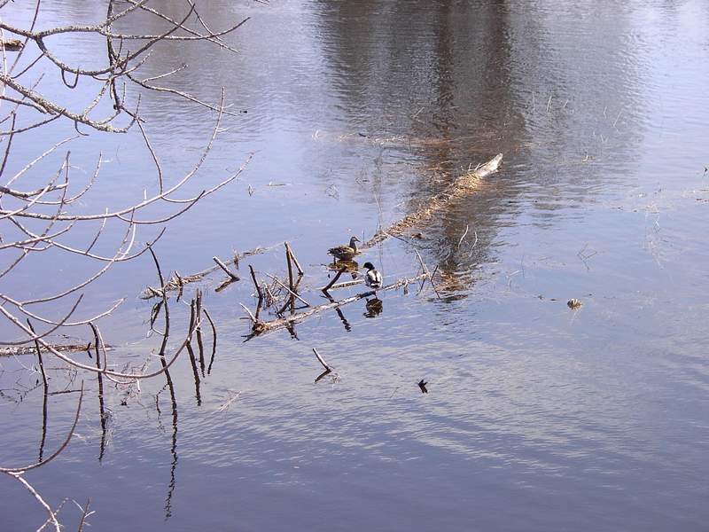 manip_Baluchon 023.jpg
