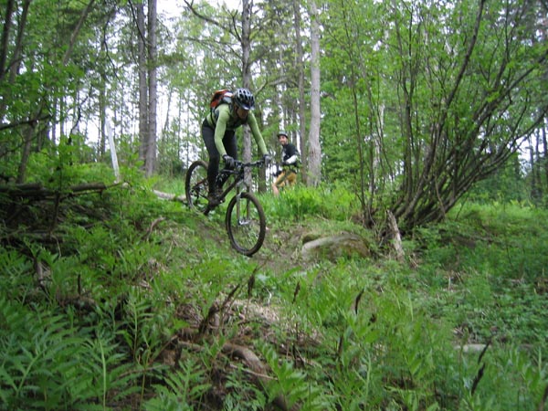 COATICOOK0015.jpg