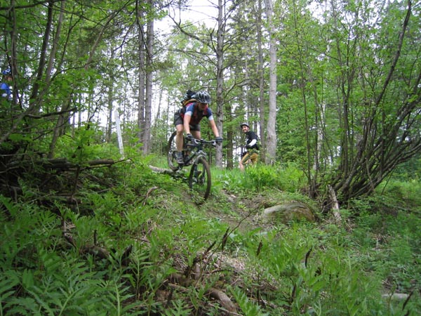 COATICOOK0016.jpg