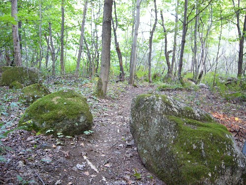 Photo 001.jpg