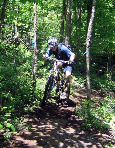 IMG_2875.jpg