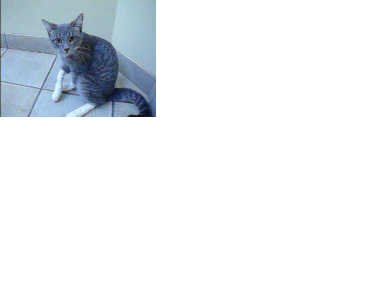 imm000337.JPG