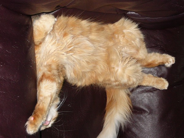 Photo 091.jpg