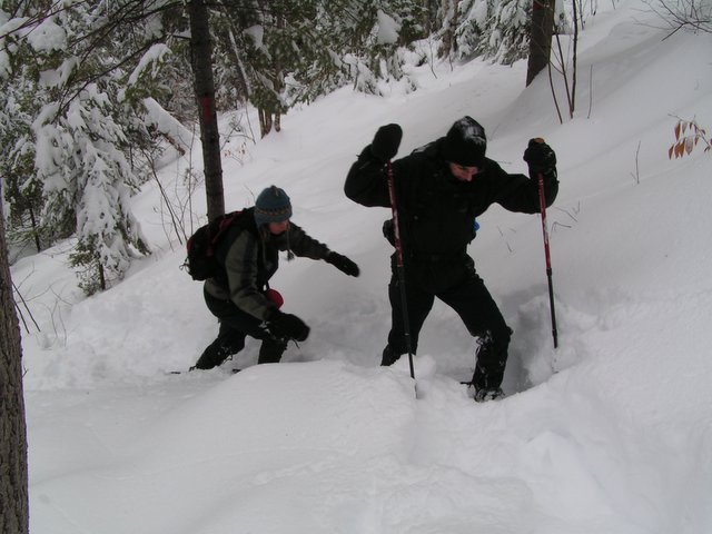 PICT0005.JPG