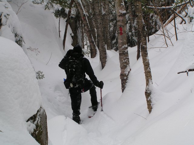 PICT0007.JPG