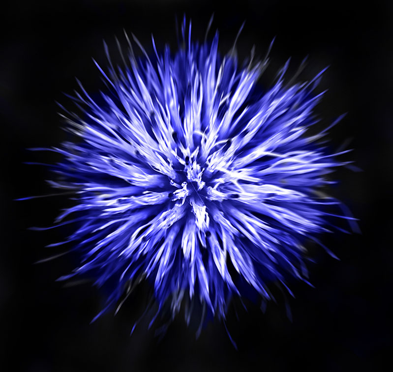 Purple Haze sml.jpg