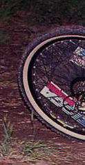 crop.jpg