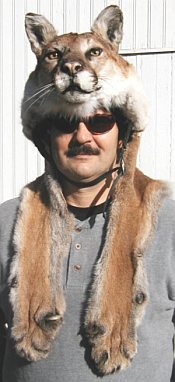81--Attila_wMtnLionHelmet_175x382.jpg