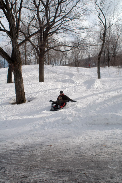 bobsled2.jpg