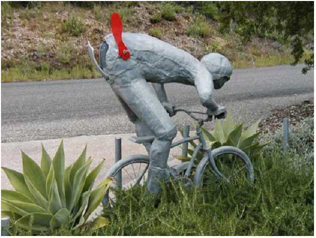 balvelo.jpg