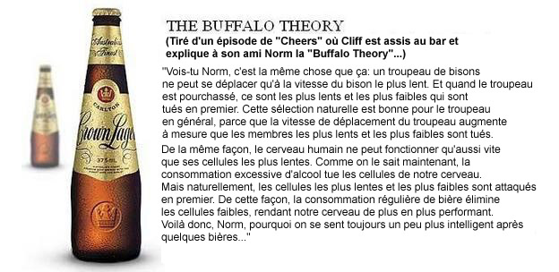 BeerTheory_copie1.jpg