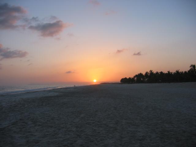 IMG_1129small.jpg