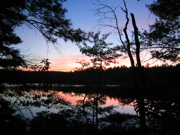 IMG_0138.jpg