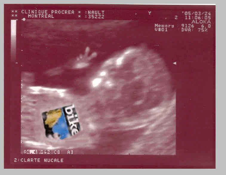 titprout+++.jpg
