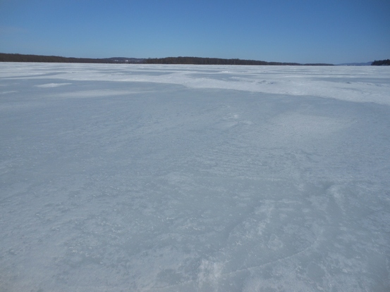 DSCN1255r.JPG