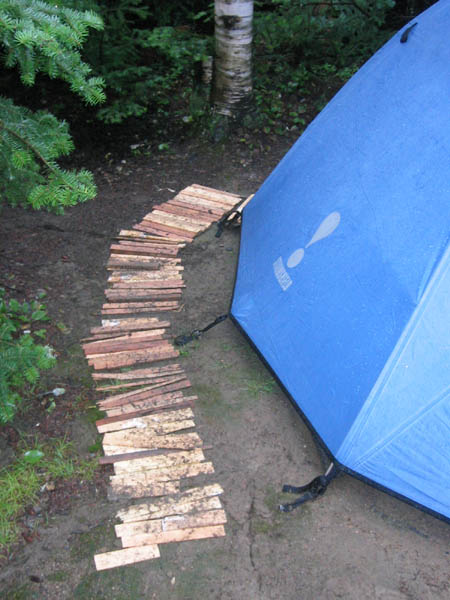 msa0002_r1.jpg