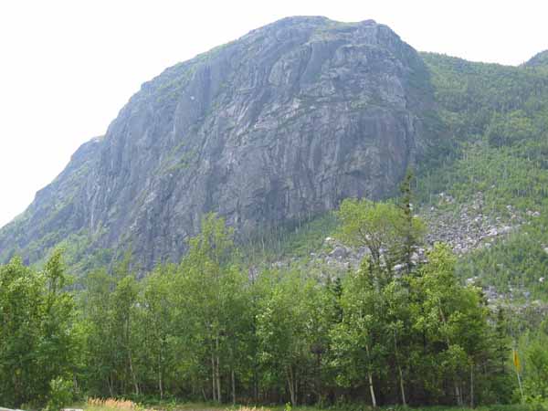 IMG_0346.JPG