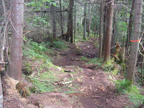 IMG_0386.JPG